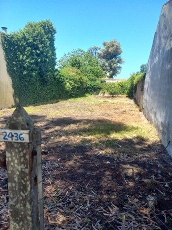 Benito Juarez 2436, Mar del Plata 7600, 0 , 0 ,0,Lote,En Venta,0,1416