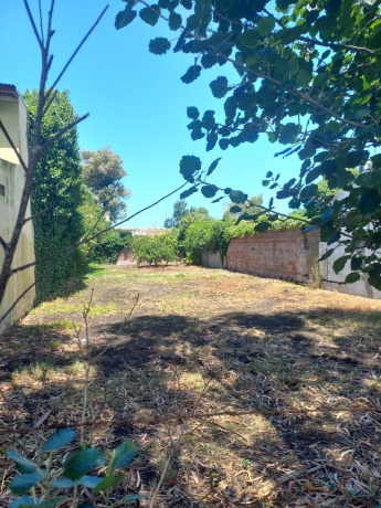 Benito Juarez 2436, Mar del Plata 7600, 0 , 0 ,0,Lote,En Venta,0,1416