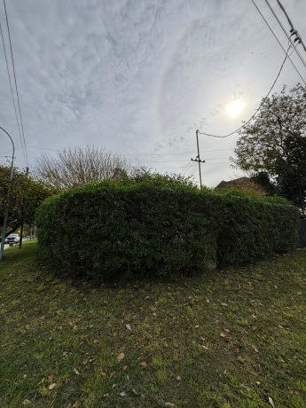 4311 Concepcion Arenal, 7600, Mar del Plata, 0 , 0 ,3 BathroomsBathrooms,Casa,En Venta,Concepcion Arenal,0,1770